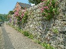 Floral wall, Helston. 29 May 2003.